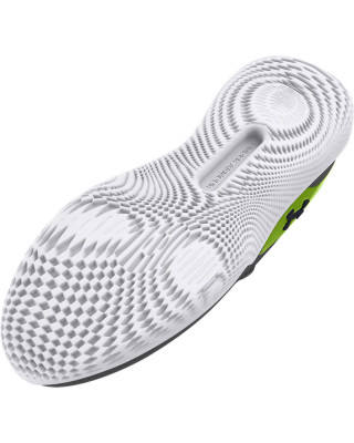 UA FLOW DYNAMIC INTLKNT