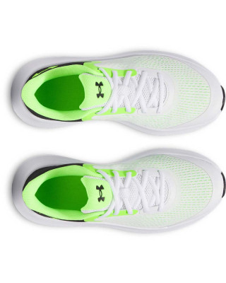 UA BGS ROGUE 5