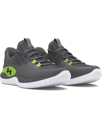 UA FLOW DYNAMIC INTLKNT 