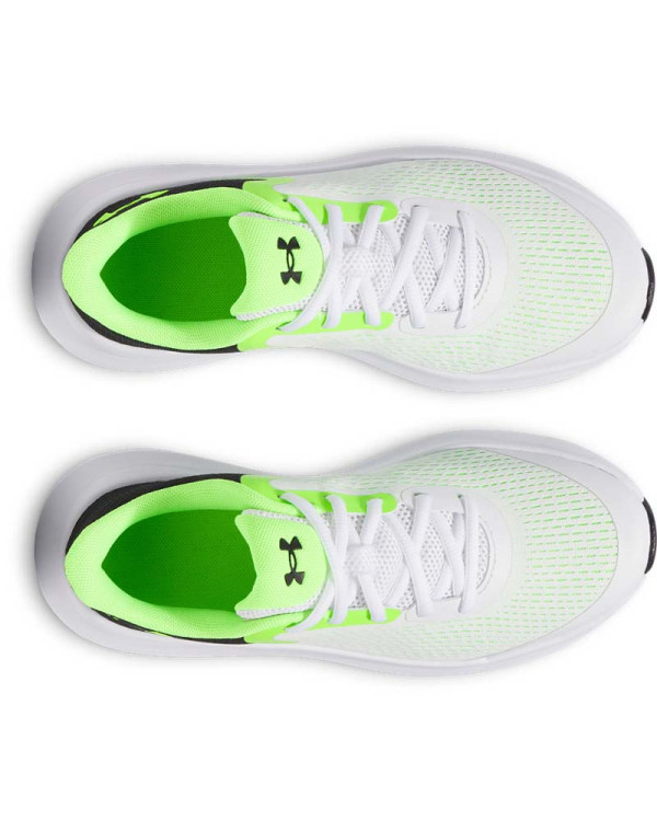UA BGS ROGUE 5