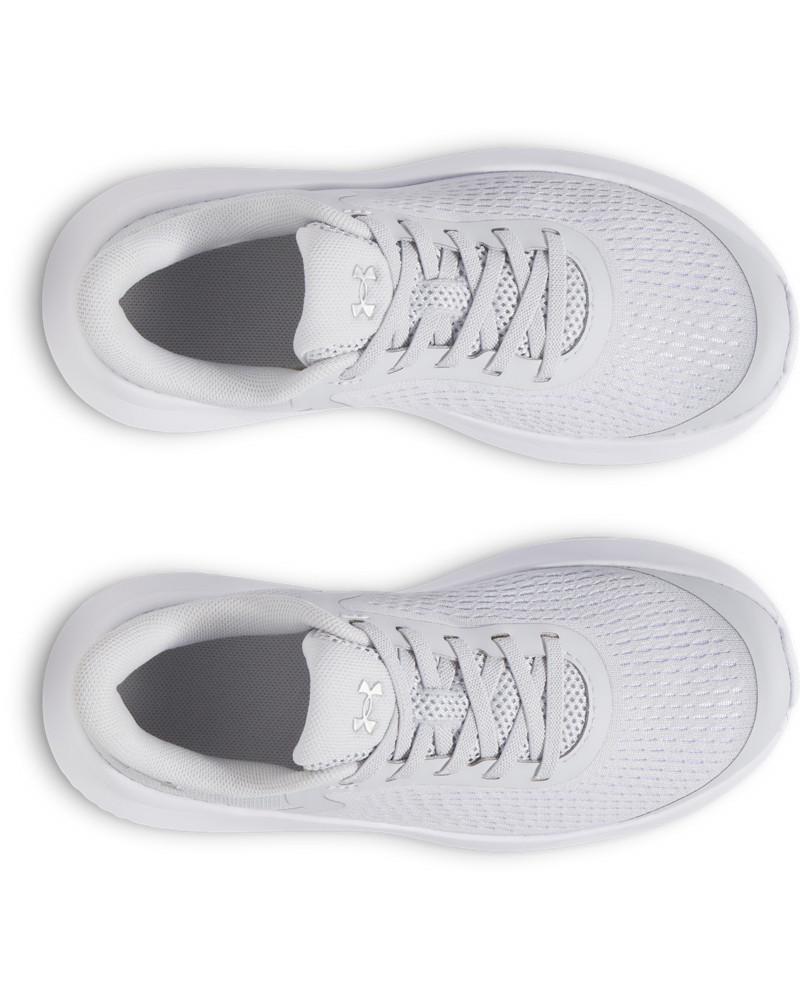 UA GPS ROGUE 5 AL